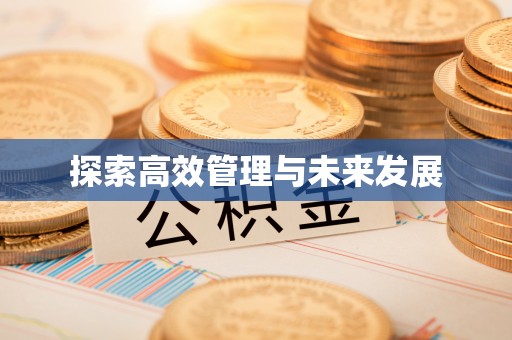仪征探索高效管理与未来发展