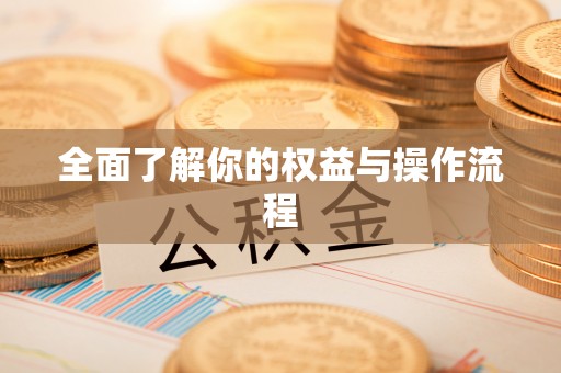 仪征全面了解你的权益与操作流程