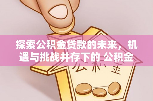 仪征探索公积金贷款的未来，机遇与挑战并存下的 公积金贷款风险防控