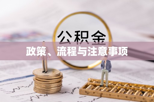 仪征政策、流程与注意事项