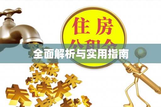仪征全面解析与实用指南