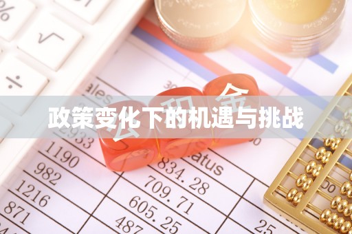 仪征政策变化下的机遇与挑战