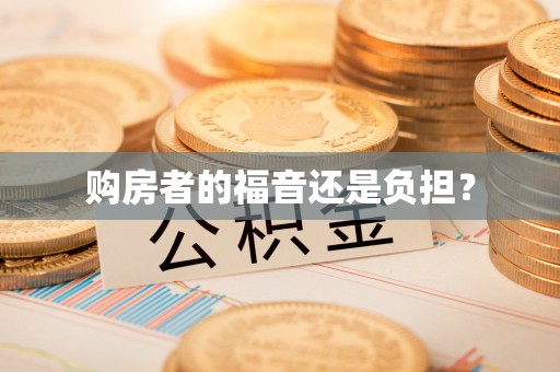 仪征购房者的福音还是负担？