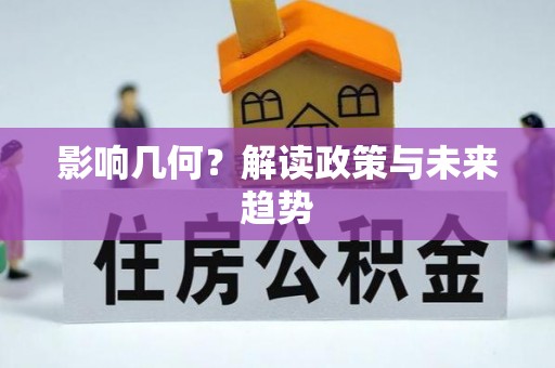 仪征影响几何？解读政策与未来趋势