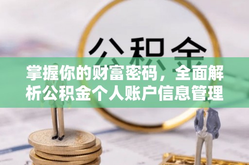 仪征掌握你的财富密码，全面解析公积金个人账户信息管理与优化