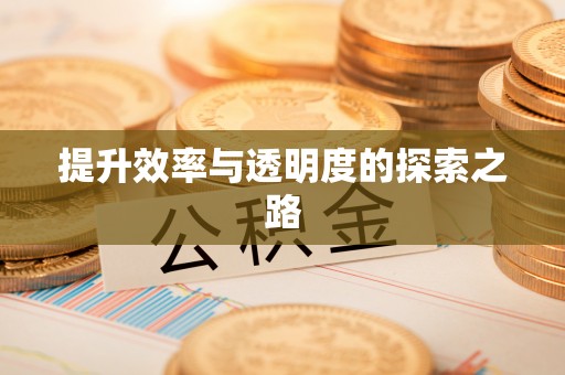 仪征提升效率与透明度的探索之路