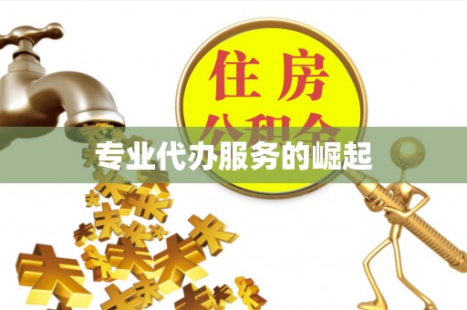 仪征专业代办服务的崛起