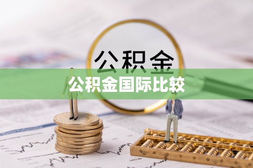 仪征公积金国际比较