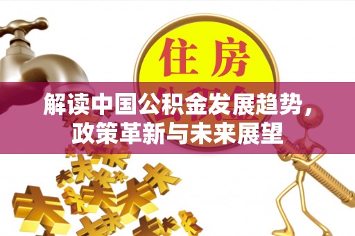 仪征解读中国公积金发展趋势，政策革新与未来展望