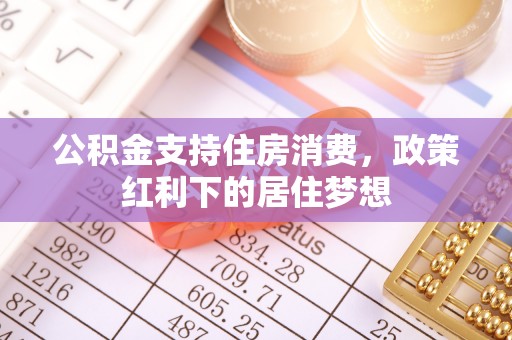 仪征公积金支持住房消费，政策红利下的居住梦想