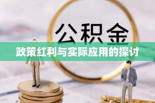 仪征政策红利与实际应用的探讨
