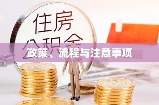 仪征政策、流程与注意事项