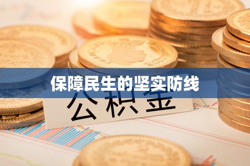 仪征保障民生的坚实防线