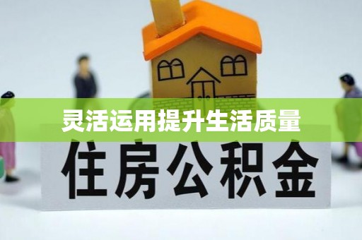仪征灵活运用提升生活质量