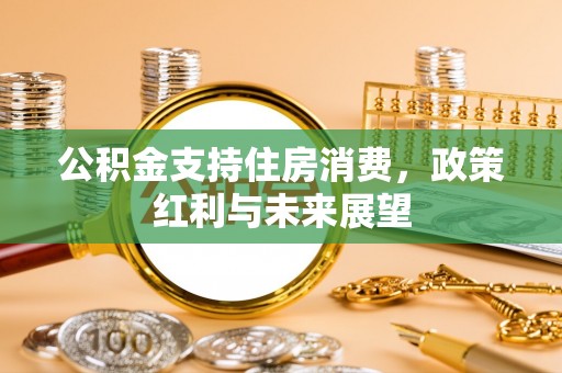 仪征公积金支持住房消费，政策红利与未来展望