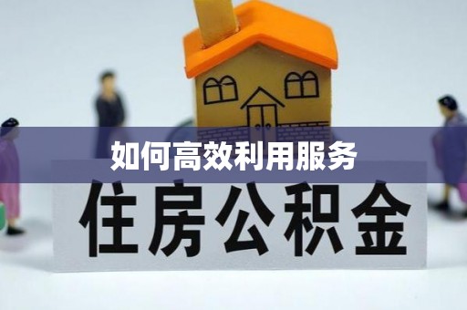 仪征如何高效利用服务