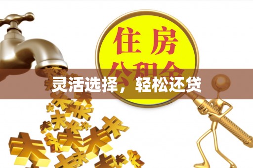 仪征灵活选择，轻松还贷