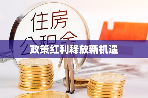 仪征政策红利释放新机遇