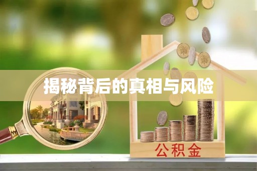 仪征揭秘背后的真相与风险
