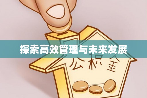 仪征探索高效管理与未来发展