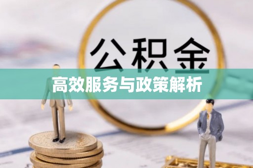 仪征高效服务与政策解析