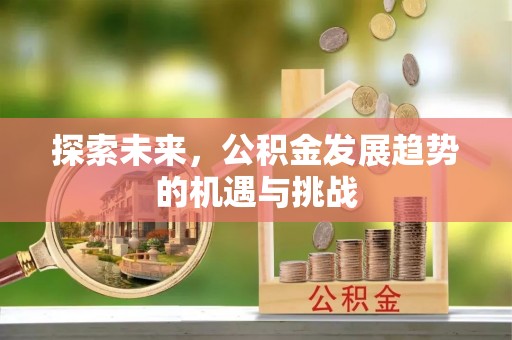 仪征探索未来，公积金发展趋势的机遇与挑战