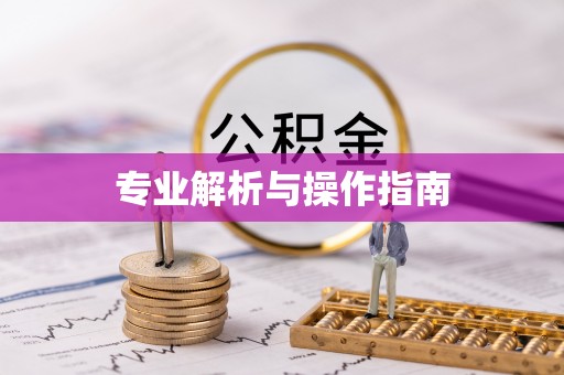 仪征专业解析与操作指南