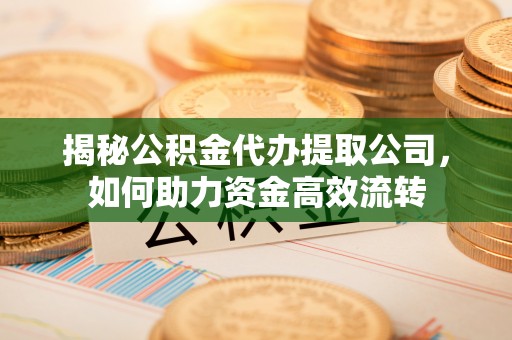 仪征揭秘公积金代办提取公司，如何助力资金高效流转