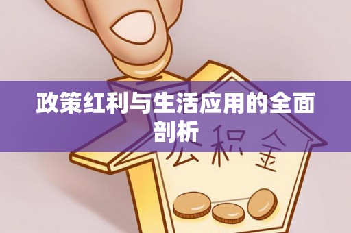 仪征政策红利与生活应用的全面剖析