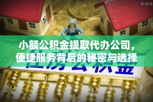 仪征小额公积金提取代办公司，便捷服务背后的秘密与选择指南