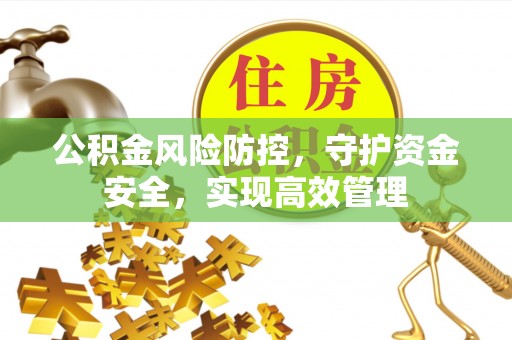 仪征公积金风险防控，守护资金安全，实现高效管理