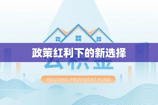 仪征政策红利下的新选择