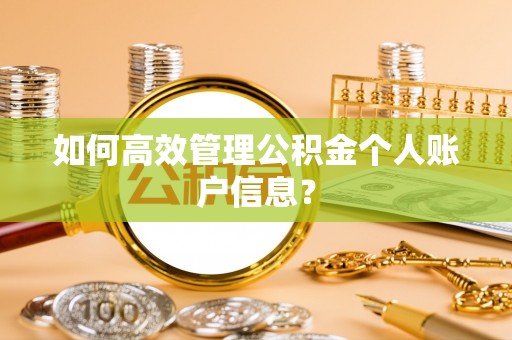 仪征如何高效管理公积金个人账户信息？