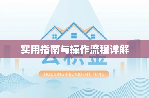 仪征实用指南与操作流程详解