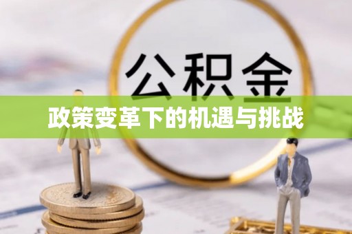 仪征政策变革下的机遇与挑战