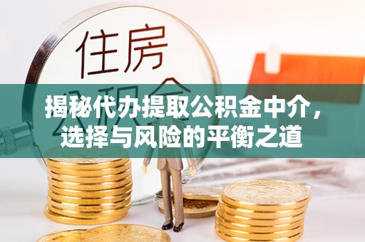 仪征揭秘代办提取公积金中介，选择与风险的平衡之道