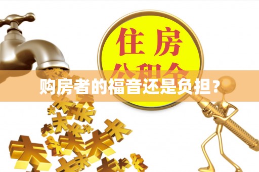 仪征购房者的福音还是负担？