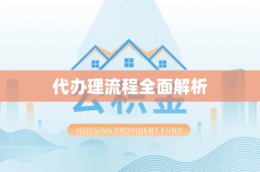 仪征代办理流程全面解析