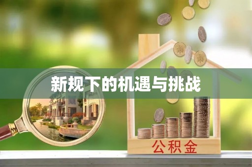 仪征新规下的机遇与挑战