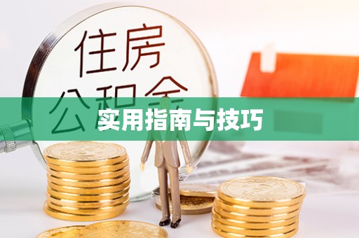 仪征实用指南与技巧