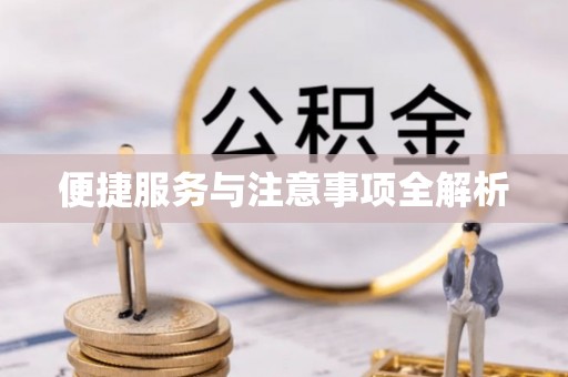 仪征便捷服务与注意事项全解析