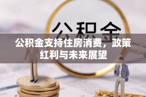 仪征公积金支持住房消费，政策红利与未来展望