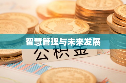 仪征智慧管理与未来发展