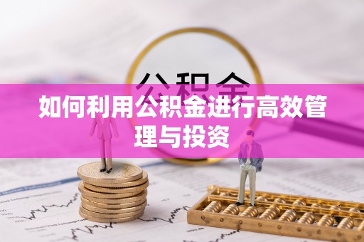 仪征如何利用公积金进行高效管理与投资