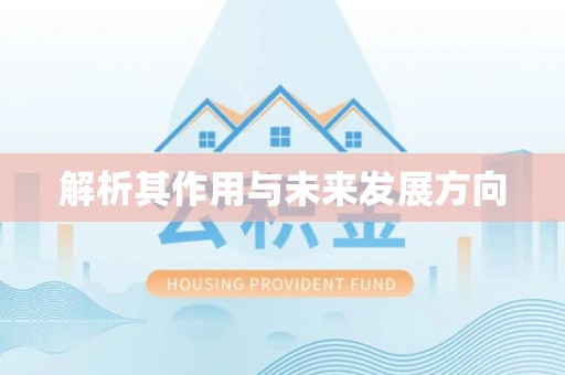 仪征解析其作用与未来发展方向