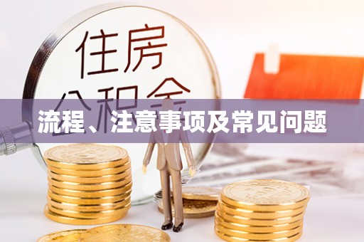 仪征流程、注意事项及常见问题