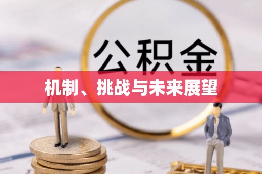 仪征机制、挑战与未来展望