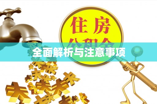仪征全面解析与注意事项