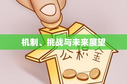 仪征机制、挑战与未来展望