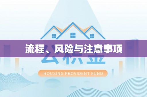 仪征流程、风险与注意事项